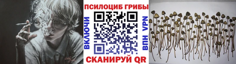 наркошоп  Владивосток  Галлюциногенные грибы Cubensis 