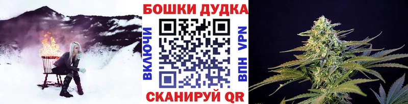 MEGA онион  Владивосток  Шишки марихуана планчик 